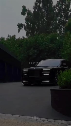 Our Life is Destined: Exploring Luxury and Wealth