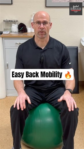 Unlock Your Low Back! 🔓 Easy Exercise Ball Mobility with Dr. Monte 🔥#shorts #fyp #backpain #pain