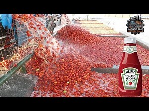 Inside the Tomato Factory: Ketchup Production Line & Advanced Processing