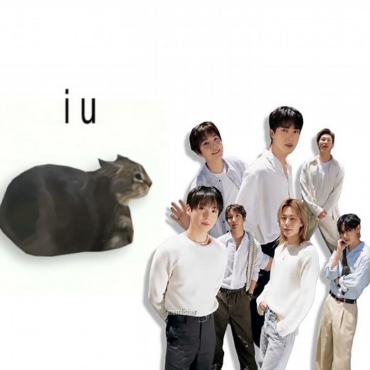 BTS - COME OVER, but it's Oiiai Cat Remix (uiiai) #mashup #remix #kpop #oiiacat #bts