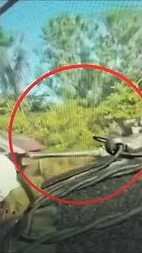 Why did the barrel of a Thai VT4 tank explode for the second time? It's unlikely to have been cau...