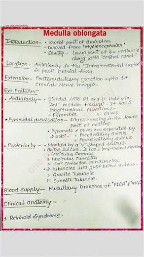 Medulla Oblongata Anatomy:External Features|#MedullaOblongata #Neuroanatomy#Brainstem #AnatomyNotes