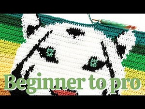 5 Things I Wish I Knew Earlier About Graphgans