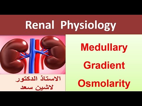 Renal physiology- Medullary gradient Osmolarity- Role of vasa recta