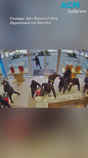 20 people allegedly storm jewellery store in dramatic robbery