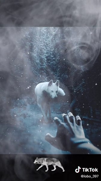 Wolves and Human Interaction in a Mystical Environment