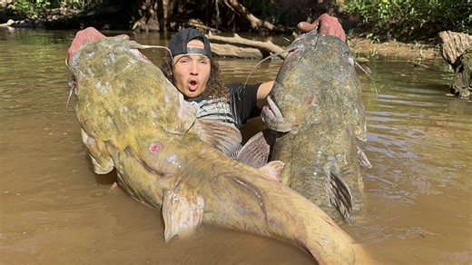 18K views · 256 reactions | Extreme Catfish Noodling! The River King barely kept this one in but in the end he got his revenge! #noodling #catfish #fishing #catfishing #adrenalinerushadventures #adrenaline #adventures #theriverking #natethegreat #oklahoma #usa #unitedstates #trending #viral #amazing #family #fun #fyp #foryou | Nathan Wayne Williams | Facebook