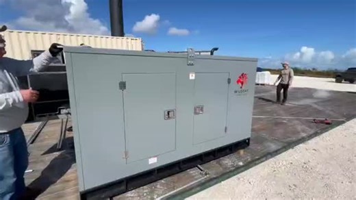 Wildcat Power Gen on Instagram: ""It Purrs Like A Kitten..." In this video, the Wildcat Roughneck 30KW Prime Power NG-LPG is the strong and silent type, providing dependable power for a government building. Engine: Arrow KP3 Alternator: Stamford PI144H Controller: Deep Sea Electronics 6110 Duty Cycle: Prime / Continuous Stationary Warranty: 3-Years, 5,000-Hours Spec Sheet Link: https://bit.ly/4sK9YqU #BetterPowerForAmerica #MadeInKansas"