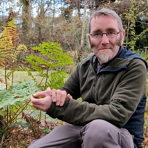 10K views · 166 reactions | There's more to the royal fern (Osmunda regalis) than meets the eye... dive into its mysterious past with botanist Dr Greg Kenicer. What do you make of this curious tale?  | Royal Botanic Garden Edinburgh | Facebook