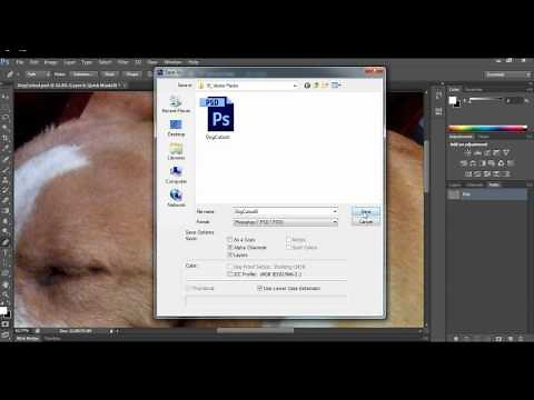 Saving a Photoshop Path