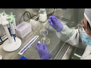 inoculating a liquid bacterial culture