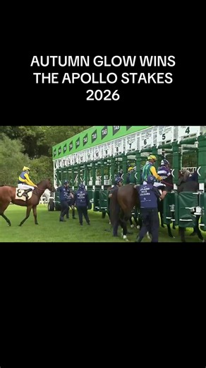 Autumn Glow Dominates the Apollo Stakes 2026