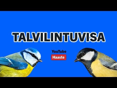 Talvilintuvisa - Suomen Linnut