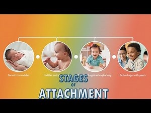 What Happens During a Child's Attachment Stages?