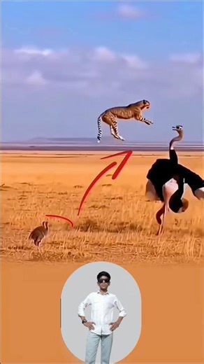 25 मार्च 2026