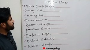 ایس ایس ٹی بائیوکمیسٹری۔ "FSC Biology Chapter 1 Biochemistry MCQs | SST Past Paper | Teaching Test Prep | Feb 2025" "Boost your teaching test prep with these 10 crucial MCQs from the Biochemistry SST past paper (FSC Biology Chapter 1)! 📚💡 Perfect for upcoming tests in Feb 2025. Watch, learn & practice! 😊 #Biochemistry #FSCBiology #SST #TeachingTests" biochemistry FSC biology SST past papers MCQs first chapter biochemistry teaching tests SST preparation teaching exams February 2025 tests bioch