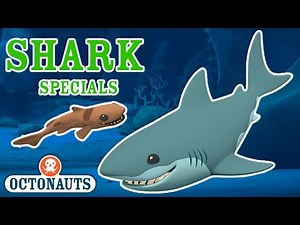 Octonauts - Sharks of all Shapes and Sizes | Shark Week Special