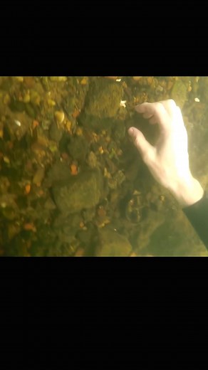 Underwater Coin Interaction: Scuba Diving Adventure