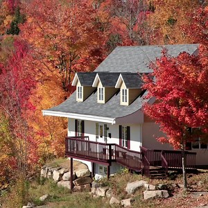 149 reactions · 15 shares | The leaves are changing - and your address could too. | Zillow | Facebook