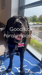 Are you ready for the Paralympics? 🐾🏅 Burnsie, Ruby, Wendy, Albert, and everyone here at Support Dogs are wishing @paralympicsgb_official a huge good luck. We know you’re gonna smash it! 🥇🇬🇧 #paralympics #paralympicsgb #teamgb #supportdogs #assistancedogs #doggyolympics | Support Dogs