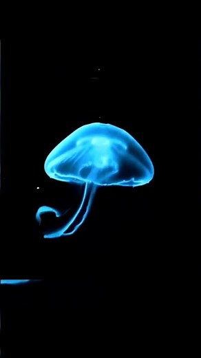 hologram video, #technology