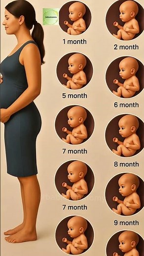 Pregnancy Stages Baby Growth #3danimation #babydevelopment #pregnancy #baby