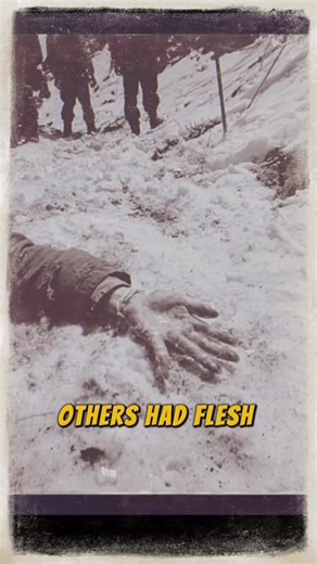 Inspector Story on Instagram: "Alfred Packer Returned Alone… And the Evidence Didn’t Match"