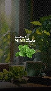 Have you ever noticed chefs rolling mint leaves between their fingers before adding them? It’s not just a habit. The warmth of your hands helps open up its natural oils and releases a fresh burst of aroma before it even touches the food. That’s what makes a simple dish feel so uplifting and fresh. A knife can’t do that but your hands can bring out the best in it. | Aanal Kotak