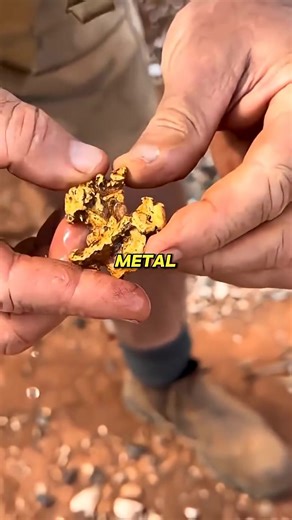 #treasurehunter #newviral #goldmining #metaldetecting #usa | Treasure Hunting