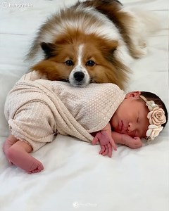 88K views · 1.9K reactions | She's the cutest! | Power of Positivity | Facebook