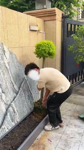 Create a flower mirror landscape #SpaceDesign #gardendesign #garden #plants