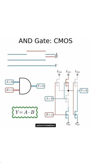AND Gate : CMOS 3d animation #maths #physics #chemistry #animation #cartoon #funny #school