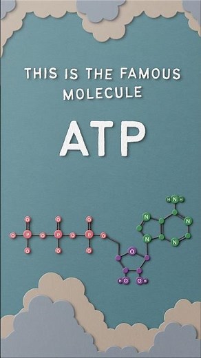 Meet the molecule ATP