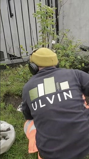 Proper edging of flower beds (simple tools)