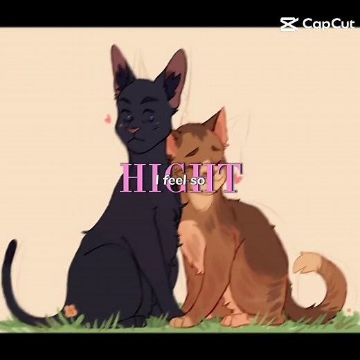 Warriors cats Crowfeather x Leafpool 🤎🖤