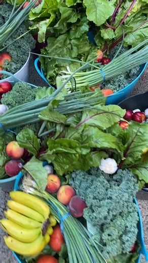 Composting is so much easier than you think  #carbonfootprint #composting101 #compost101 #sustainableliving #foodwaste #compostingforbeginners #composting #compostinghacks | Lottie Dalziel | Facebook