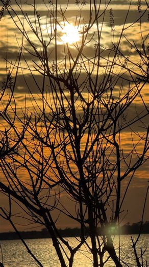 Sonny L Schenck | Jacksonville are you ready? I am! #yournewfavoriteink #neogripsusa #industryinks #fypシ゚viralシ #villainartsattendingartist @baystreetbarandgrill | Instagram