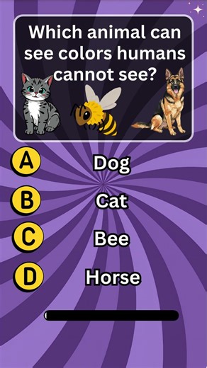 Gk questions in English | | Trivia game questions | English Quiz Game