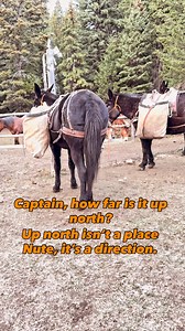 3.8K views · 26 reactions | “Elk hunters paradise, to here Jake tell it” #lonesomedove #mules #string #packing #hunting #elkhunting #backcountry #western | West of Wild | Facebook