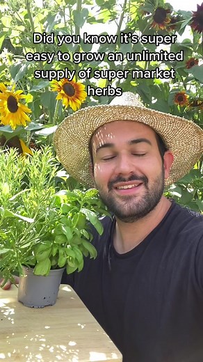 Easy Ways to Grow Unlimited Supply of Herbs | Planting Tips
