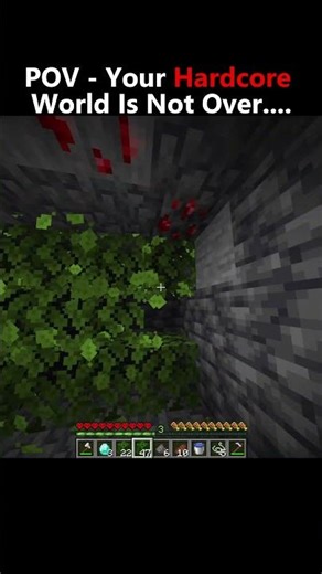 POV Your Hardcore World Is Not Over.... #minecraft
