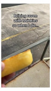 24K views · 1.1K reactions | Father with cancer spends months feeding raven #animals #wholesome | StoryTime | Facebook