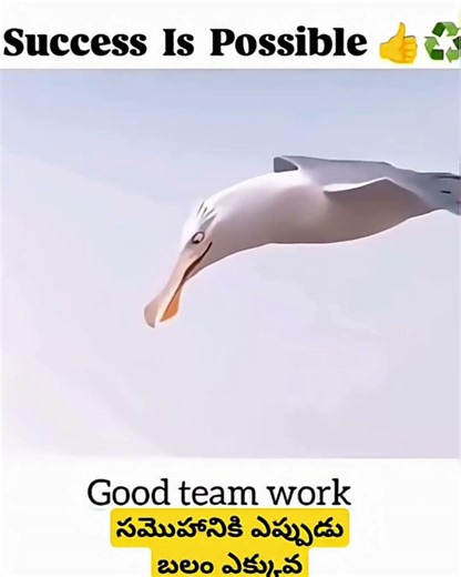 success is possible 🤞🏻 with good teamwork. #viral #trending #motivation