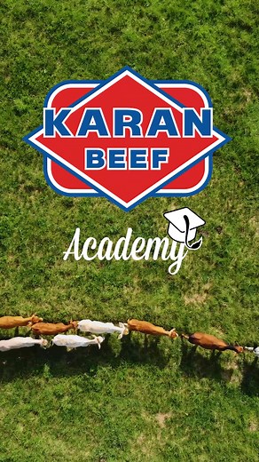 KARAN BEEF Academy: Essential Cattle Farmer Training in South Africa