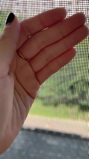 High-definition window screen.#windowscreen #mosquitonet #wiremesh #buildingmaterials #constructionmaterials