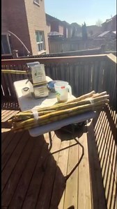 4.7K views · 52 reactions | 5.2cm diameter cane destroyed by 38kg sugarcane machine #reels #sugarcanemachine #sugarcanejuice #mightymini | David's Cane Machines Select | Facebook