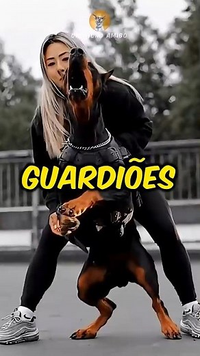 The 3 best guard dog breeds to protect your family!