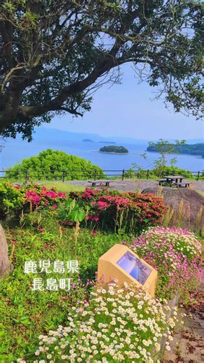 長島町の美しい海をドライブする