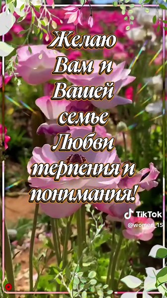 #20 #июнь #june #лето #доброеутро #суббота #хорошегодня #women_15 #хорошегонастроения #выходные #врек