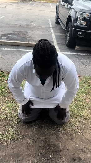 Dorgi TikTok Video Highlights High Energy Fun